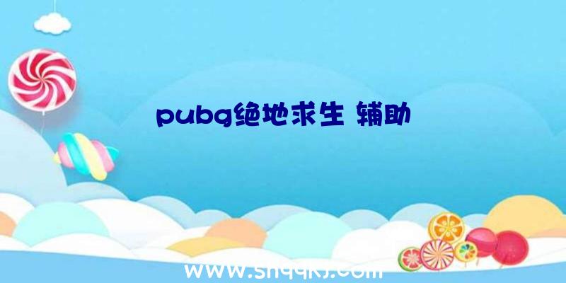 pubg绝地求生